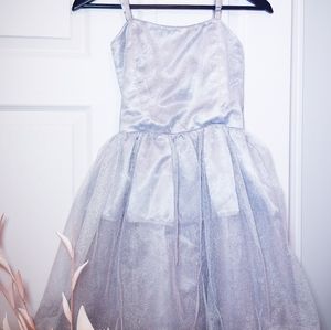 🟪Hudson Bay Girls size 12 sliver sparkly tulle dress